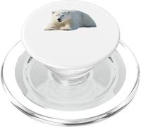 Orso Polare Ursus Maritimus Arctic Wildlife PopSockets PopGrip per MagSafe