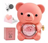 Orso Rosa eterna con Collana a Forma di Cuore, Orsacchiotto Portagioie Gioielli, Idee Regalo Donna, Mamma, Moglie Rose Stabilizzate per San Valentino, Festa della Mamma, Anniversario (Rosa)