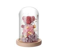 Orso Rosa Eterna - Rosa Eterna Romantica Rosa con LED Luci, per Natale, la festa della mamma, Valentino, Anniversario, Idee Regalo Donna Compleanno, Regali per Lei (rosa)