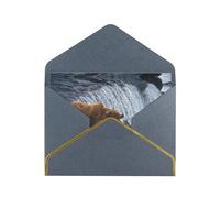 Orso Sfondi Biglietti vuoti con buste, biglietti di auguri singoli con buste, inviare ad un caro amico