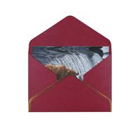 Orso Sfondi Biglietti vuoti con buste, biglietti di auguri singoli con buste, inviare ad un caro amico