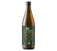 ORSO VERDE DNA BIRRA CHIARA SENZA GLUTINE 0.5 LT 05253