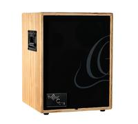 Ortega Guitars Amplificatore combinato per chitarra acustica a 2 canali, 100 W, naturale (cono-ASH-US)