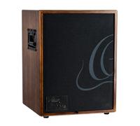 Ortega Guitars Amplificatore combinato per chitarra acustica a 2 canali, 100 W, noce (cono-WND-US)