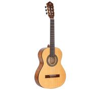 ORTEGA - RSTC5M-34 - RSTC5M cedar guitar without cover