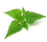 Ortica Frutti 100 Gr