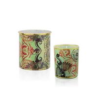 ORTIGIA SICILIA Candle Decorated - Fico D'India