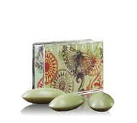 Ortigia Sicilia FICO D'INDIA SOAP 100G X 3