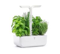 ORTO DA INTERNO VERITABLE Classic