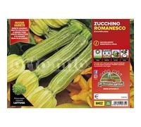 Orto Mio Piantine di Ortaggi in pack cubettato per la produzione famigliare disponibili in molte tipologie e varietà (Zucchino romanesco Floridus 4 piante)