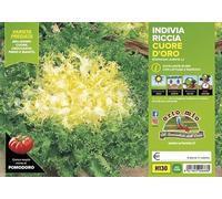 Orto Mio Piantine di Ortaggi in pack cubettato per la produzione famigliare disponibili in molte tipologie e varietà (Indivia Riccia Cuore D'oro 9 piante)