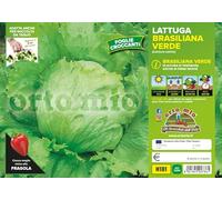 Orto Mio Piantine di Ortaggi in pack cubettato per la produzione famigliare disponibili in molte tipologie e varietà (Lattuga Brasiliana verde 9 piante)