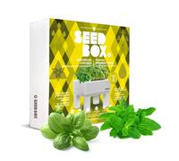 ORTO TERRAZZO GIARDINO CUCINA COLTIVAZIONE SPEZIE BASILICO E MENTA SET PRONTO