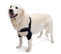 Ortocanis - Tutore per entrambi Gomiti del Cane con Artrosi, Displasia del Gomito, Lesioni alle Articolazioni, Ulcere, Piaghe o Calli. Taglia S