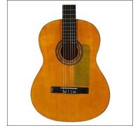 Ortola Battipenna 2008-092 classica elettro statico Trasparente