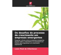 Os desafios do processo de crescimento em empresas emergentes