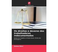 Os direitos e deveres dos trabalhadores indocumentados: Direito do Trabalho e Direito Social, Direito dos Estrangeiros