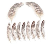 OSALADI 10 Pezzi Pz Piume Naturali per Crafting Materiale per Realizzazione Dream Catcher Decorazioni per e Costumi Piume Colorate e Sicure per Feste e