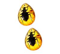 OSALADI 2 Pezzi ciondolo d'ambra bug per i resina del campione di antico esemplare di insetti decorazione esemplare a forma di artigianato decorativo in ambra