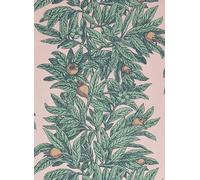 Osborne & Little Carta da parati Medlar - Blush/ Mint
