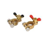 COPPIA MORSETTI IN BRONZO PER BATTERIE MS014386000