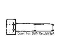 Osculati Vite a brugola cilindrica 8X80 AISI 304 BRUG8X80 A2-912-08X080 - 1 conf
