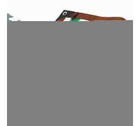 Oscurante Antivento con Occhielli Tasso di ombreggiatura del 90% Proteggi le Piante Nell'Orto, le Verdure Nella Serra e le Verdure e la Frutta Nell'Orto (15m*19m)