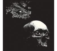 Osees A Foul Form (Vinyl LP) 12" Album