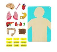 Oshhni Insegnare le parti del corpo Pannello in feltro Struttura del corpo fai da te Puzzle Attività sensoriali per bambini di gioco interattivi per