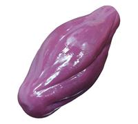 Oshhni Modello di del muscolo umano Modello anatomico Modelli anatomici Modelli di tessuto muscolare leggeri Realistici per l'apprendimento