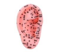 Oshhni Modello di orecchio, strumento didattico, forniture, modello di massaggio dell'orecchio, ausilio didattico per la pratica dei punti di agopuntura,