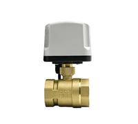 OSHZIKJII Valvola a sfera motorizzata impermeabile 1/2", 3/4", 1", 2", 220 V, 12 V, 24 V, valvola a sfera elettrica in ottone a tre o due fili(24 VDC,CR02)