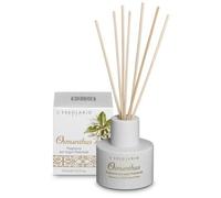 OSMANTHUS FRAGRANZA LEGNI PROF