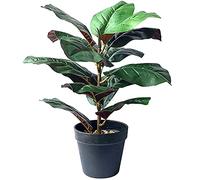 Osmond 15 Pollici di Altezza Fiddle Leaf Fig Tree Piante Artificiali Bonsai Finti