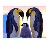 Osmond Kit Completo di Trapano per Adulti Trapano Completo di Strass per la Decorazione della Parete di Casa Pinguino Che