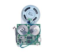 Osmond Módulo de Sonido con Sensor de Luz DIY, Chip de Sonido Grabable por Micro-USB, Altavoz con Memoria de 8 M, Reproductor de Música Programable y Parlante
