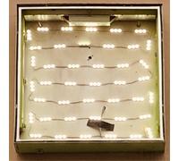 Oso Oso Basking in the Glow (Vinyl LP) 12" Album