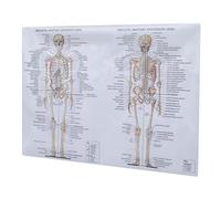 OSOLADY 1Pezzi Poster Anatomia Disegno per Insegnamento e Decorazione per Scuole e Laboratori Significativo per Studenti e Appassionati