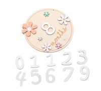 OSOLADY 1set Cartoline Mensili Legno Per Dischi Due Facce Per Annunciare Le Tapas Del Decorazione Fotografica Unisex Per Momenti Speciali