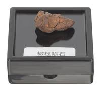 OSOLADY Modello Scientifico di Meteorite Reale da 2-3 Cm, Decorazione da Tavolo e Campione Educativo per Scuola e Collezione, Ornamento Naturale e Leggero per Lezioni di Scienze e Ricerca