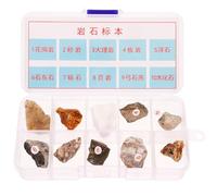 OSOLADY Set 10 Pezzi Campioni di Rocce Minerali Naturali, Pietre da Collezione Compatte e Leggere per Lezioni di Geologia, Didattica Scientifica e Esposizione Educativa