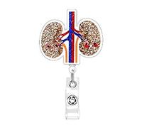 Ospedale Organo Design Acrilico Badge Reel Infermieristica Forniture Acrilico Organo Distintivo Per L'aula E L'ospedale Uso Anatomia Strumento didattico, Misura unica, come descritto