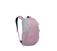 Osprey Astronova Zaino lifestyle campus unisex, 23L, Iris Pink