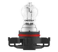 OSRAM 2504 Lampadina indicatore direzione