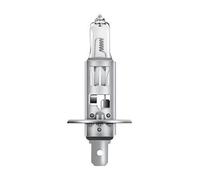OSRAM Lampada 64155 Off-Road 'Super Bright', H1, 24V/70W, P14,5s, cartone singolo