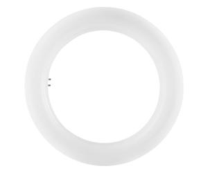 OSRAM CIRCOLINA LED SUBSTITUBE T9 32 20W 840 ATTACCO G10Q EM 2000LM COOL WHITE