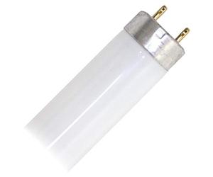 Osram Colourful T8 G13 L 58 W/67 Lampada fluorescente
