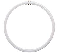 Osram FC 55W/865 daylight 2GX13 Fluorescentcircular
