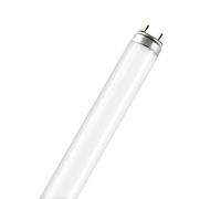 Osram Fluora T8 G13 L 18 W/77 Lampada fluorescente