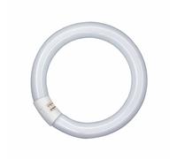 OSRAM G10q 22W 865 Lumilux T9C anello fluorescente Osram